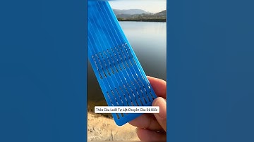 Thẻo Câu Lưỡi Tự Lật Chuyên Câu Rô Diếc #cauca #fishing