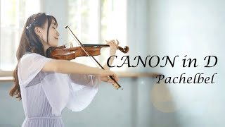 Canon in D -Pachelbel- AYAKO ISHIKAWA パッヘルベルのカノン 石川綾子