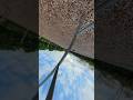 @DJI DJI Avata 360 is plenty fun! #fpv #drone #fpvdrone #dji #viral #shorts #shortvideo #fyp