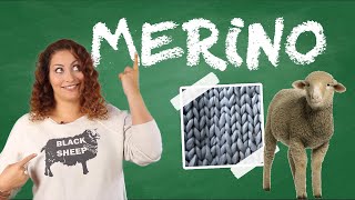 What is Merino Wool?   Yarn University #1