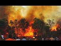 Forest fire rages in the Himalayas. Wildfire in Uttarakhand, India.