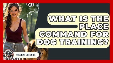 What Is The Place Command For Dog Training? - Obedient Dog Guide