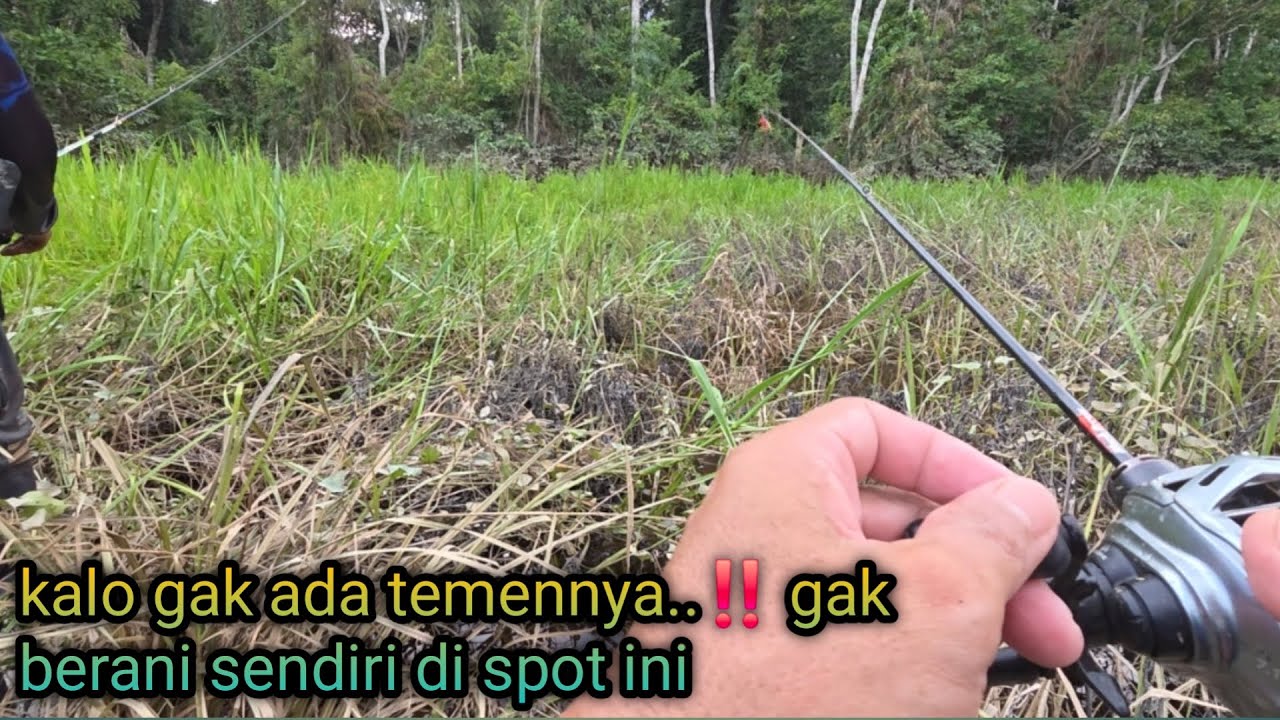 Spot belukar di huni bermacam ikan predator..‼️ & bermacam jenis binatang berbahaya lainnya.