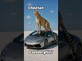 part1| Beast Merge Evolution  #fusion  #hybrid #ai #ai