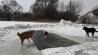 Согреваюсь перед прорубью. Моржевание. Закаливание .Hardening of the Walrus. Winterswimming.