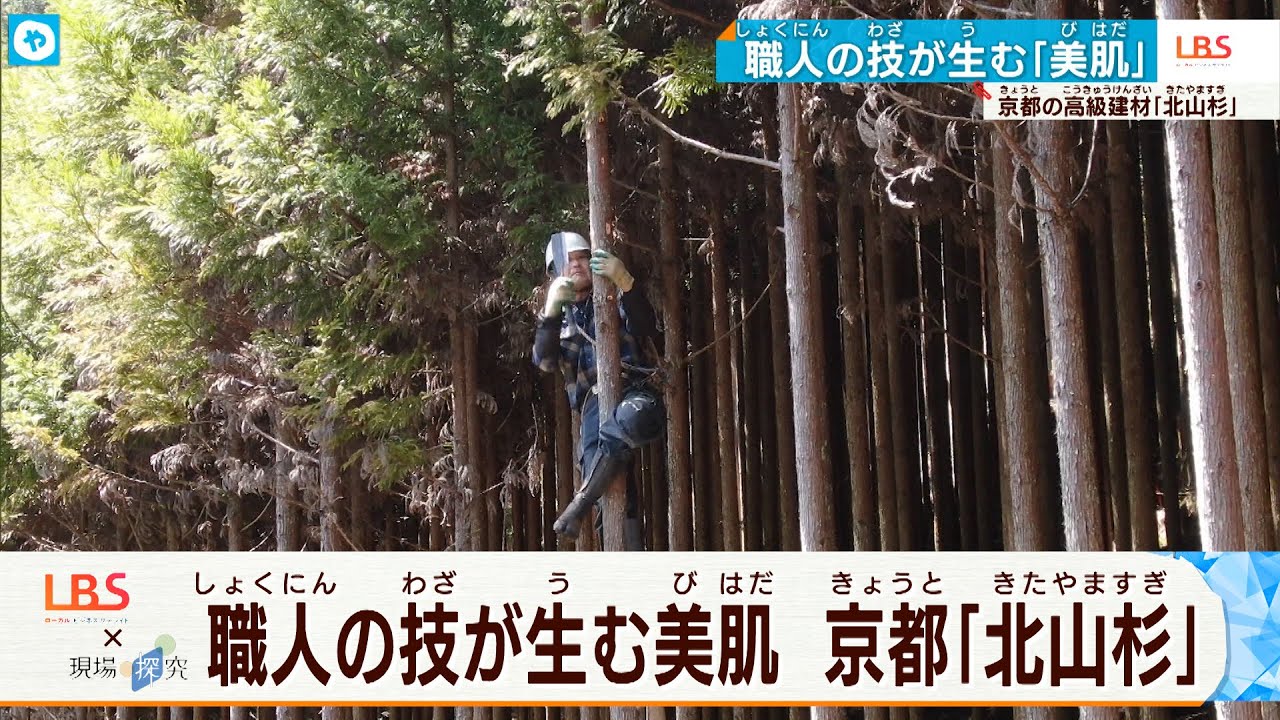 京都】千利休も愛した「北山杉」の美しい木肌を生む職人技に迫る - YouTube