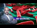 Мир внутри нас. «Как устроен мир" с Тимофеем Баженовым (21.10.20).