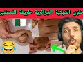 شاهد الحلوة شبكية الجزائرية كيف تصنع طريقة تحضير حلوى