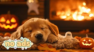 картинка: 12 Часов Уютной Домашней Музыки для Собак 🐶 Нежные Колыбельные Снижают Плач и Успокаивают Тревогу