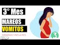 TERCER Mes de EMBARAZO | MES 3 | Embarazo mes a mes