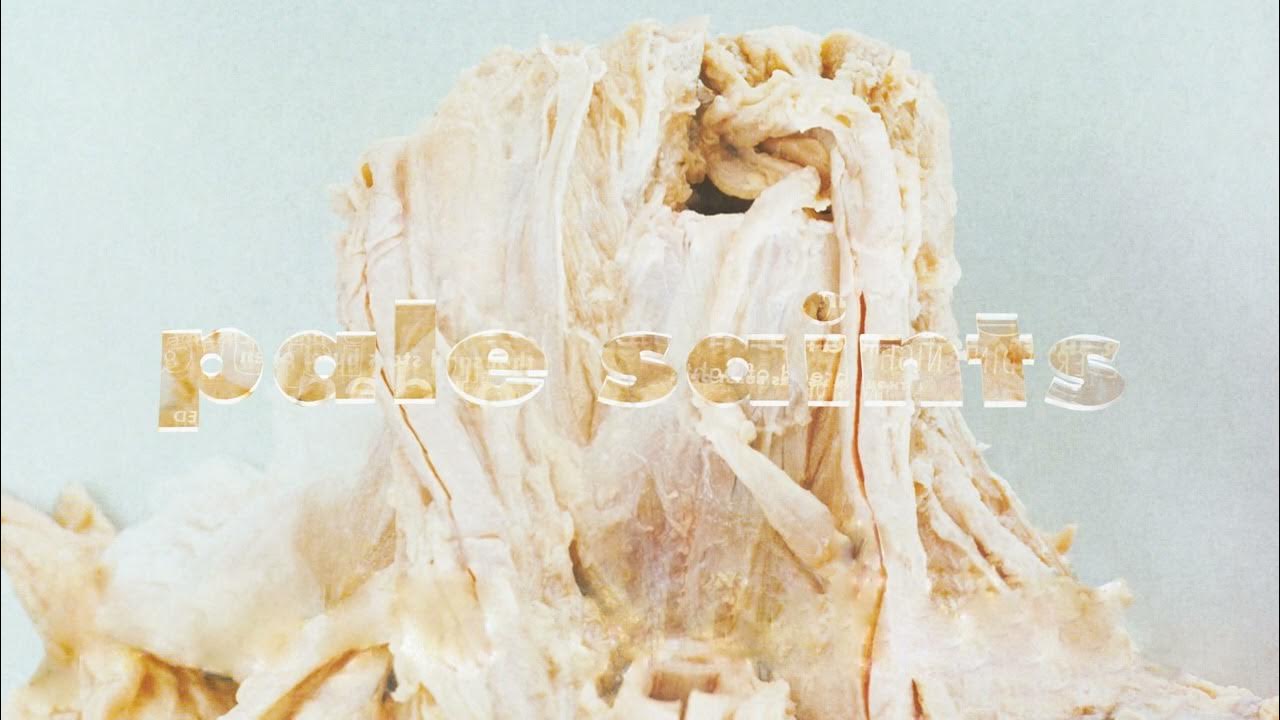 Pale Saints - Shell (Official Visualiser) Pale Saints - Shell (Official Visualiser)