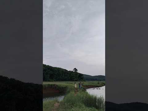 വൈന്നേരം 🍃