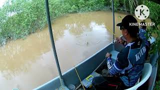 #22 Kembali lagi memancing udang galah Banting. #prawnfishing #jenggo #udanggalah