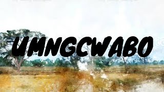 Duncan - Umngcwabo (Big Zulu Diss) | Lyrics | #sahiphop