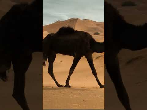 10 أيام اختفوا من التقويم الميلادي وما حد انتبه