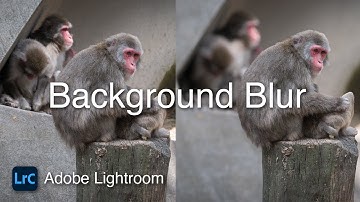 How To Blur the Background in Lightroom