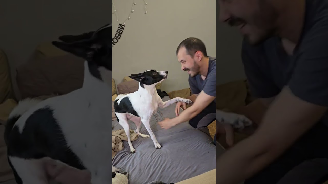 17 килограмм счастья 