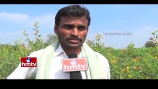 Nela Talli | Episode - 130 | Open Well - Bore Well | Progressive Farmer | Red Gram | HMTV