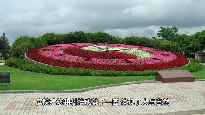 走遍中國，走進雲南省第一站昆明市（一） - 天天要聞