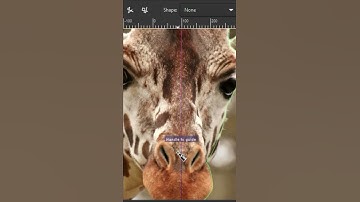 How To Turn  a Giraffe Image Into a Logo Design Using Inkscape #Shorts