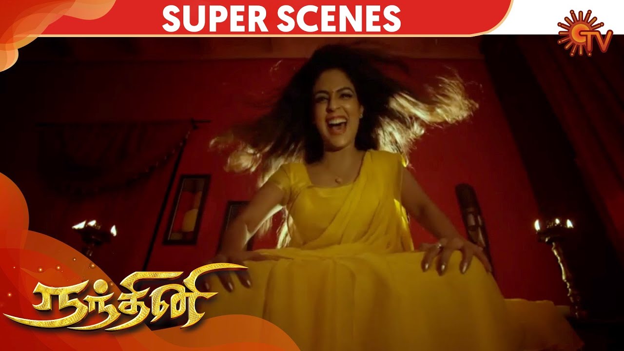 Nandhini Super Scene - Epi 20 | நந்தினி | Sun TV Serial | Super Hit Tamil Serial