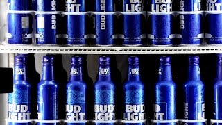 Bud Light lays off hundreds of workers after Dylan Mulvaney controversy, losing top spot to Modelo