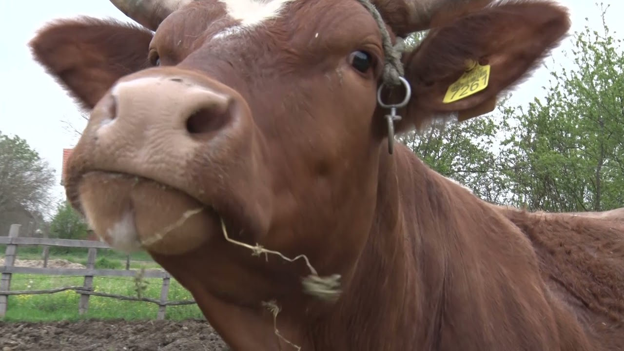 Selo puno INŽENJERA POLJOPRIVREDE