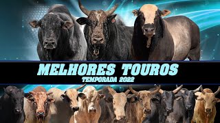 OS 12 MELHORES TOUROS DO BRASIL | TEMPORADA 2022