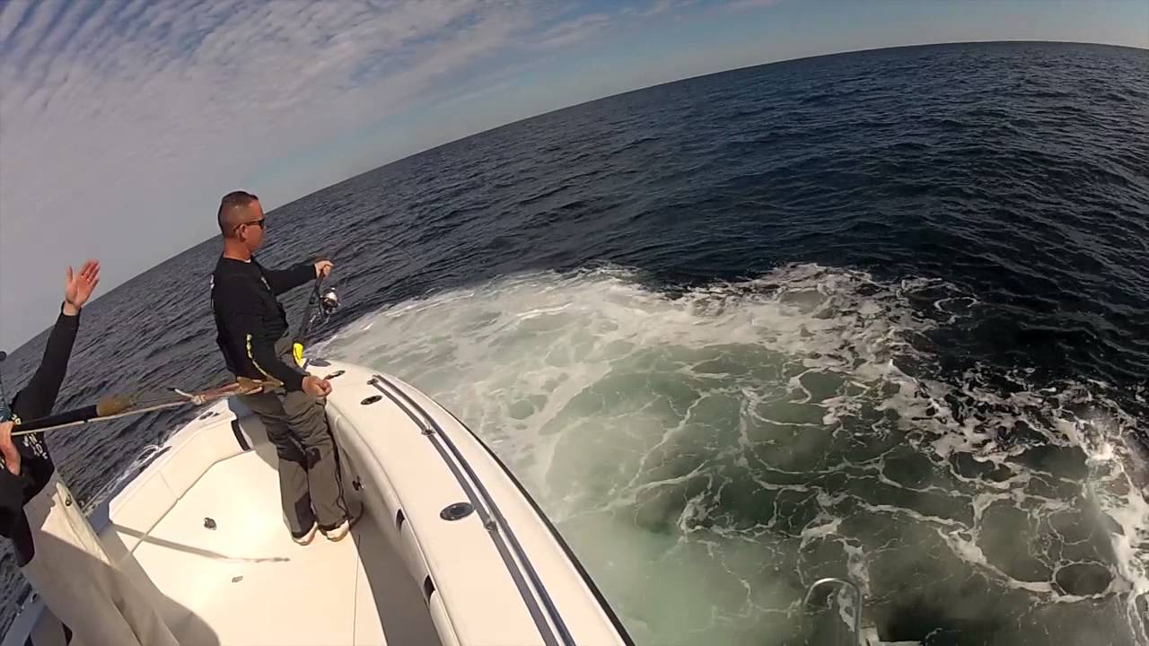 Bluefin Tuna on Spinning rods with a Luna Sea sports "CushIt" abroad