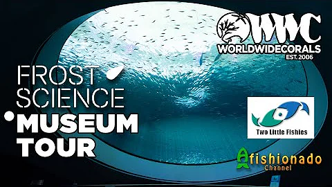 WWC Visits the Frost Science Museum and Two Little...