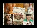 مونتاجي ابناء الدم بتولي 
