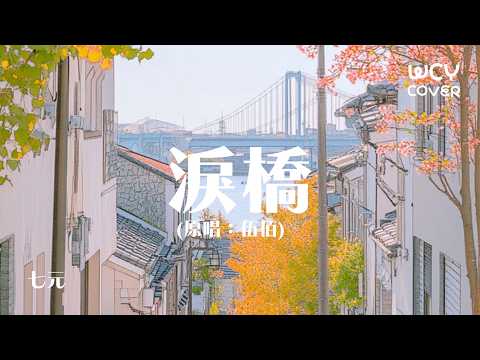 七元 - 泪桥「知道你也一样不善于表白 想象 你的相爱编织的谎言懈怠」 【動態歌詞/pīn yīn gē cí】【動態歌詞/Lyrics Video】#七元 #泪桥 #動態歌詞