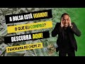 Bolsa Brasileira Está Voando! | É Hora de Comprar Agora?
