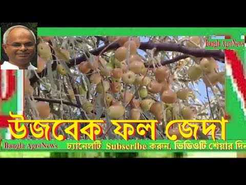 ভিডিও: আশ্চর্যজনকভাবে সুগন্ধী উজবেক পিলাফ