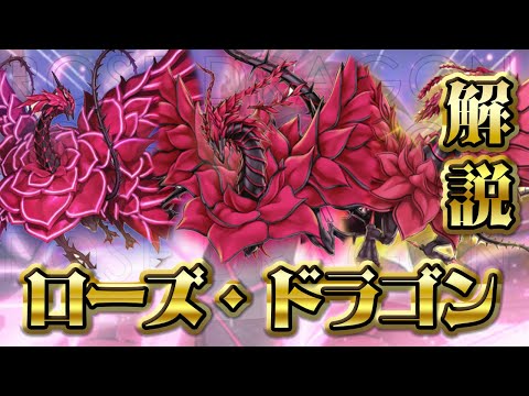 遊戯王　ローズドラゴン　アキ　デッキ　本格構築　増殖するＧ　うらら 遊戯王 ローズドラゴン アキ デッキ 本格構築 増殖するG うらら