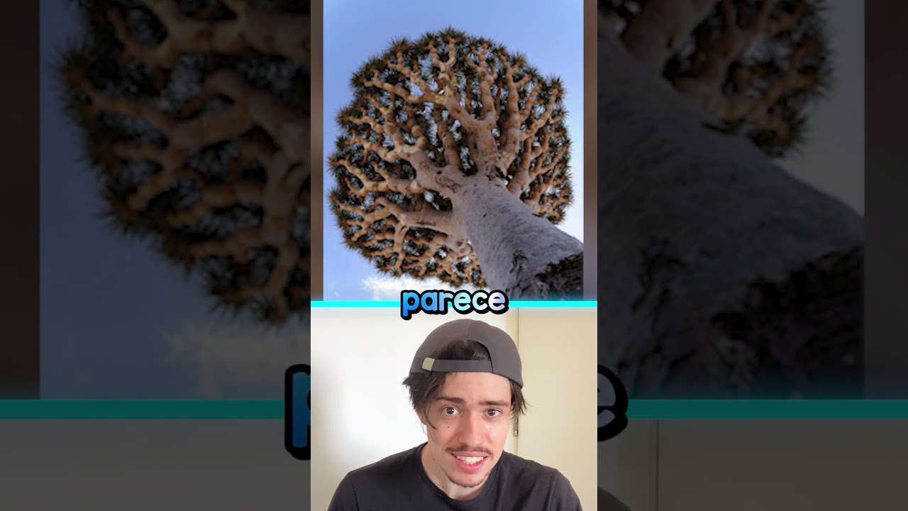 Coisas Diferentes da Natureza!