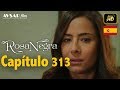 Rosa Negra - Capítulo 313 (HD) En Español