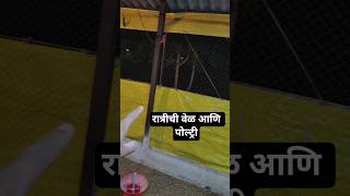 पोल्ट्री रात्रीचे मॅनेजमेंट #poultryfarm #शेतकरी #farmvlog
