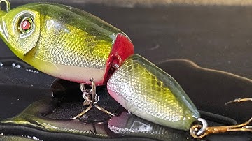 A GUIDE TO SWIMBAIT LURE MAKING