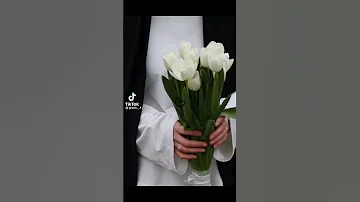 صور ورد ابيض 