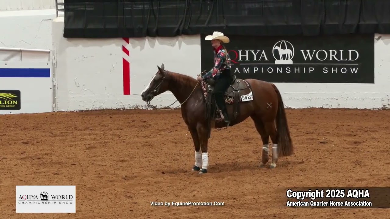2025 Youth Working Cow Horse World Champion