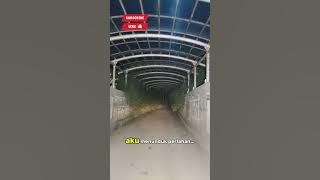 APPARENCE UNDER THE HOUSE #videoshorts #horror #viral