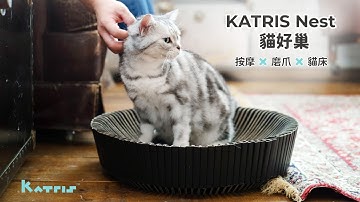 KATRIS NEST 酥弧貓好巢募資介紹影片 #貓好巢 #KATRIS #cat #貓 #貓巢