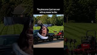 Gumballs and pinecones under my lawnmower after I just ran them over #Lawncare #Funny #YouTubeShort
