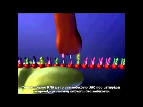 Βίντεο: Τι είναι η επεξεργασία του RNA;