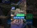 الشارع بلس ده يا جماعة مصباح علاء الدين 