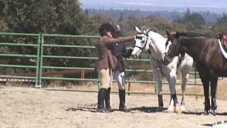 Bellapolo Sj Woodside Ht Aug08