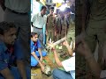 ಸಕೆತ್ ಮಾರುತಿ ಕಾರು ಶೋ ರೂಂಗೆ ಭೇಟಿ ನೀಡಿದ ವಾಲ್ಟರ್ ಪಾಯ್ಸ್ ಐಟಿಐ ವಿದ್ಯಾರ್ಥಿಗಳು #ಐಟಿಐ #ಐಟಿಐತುಮಕೂರು #ತುಮಕೂರು