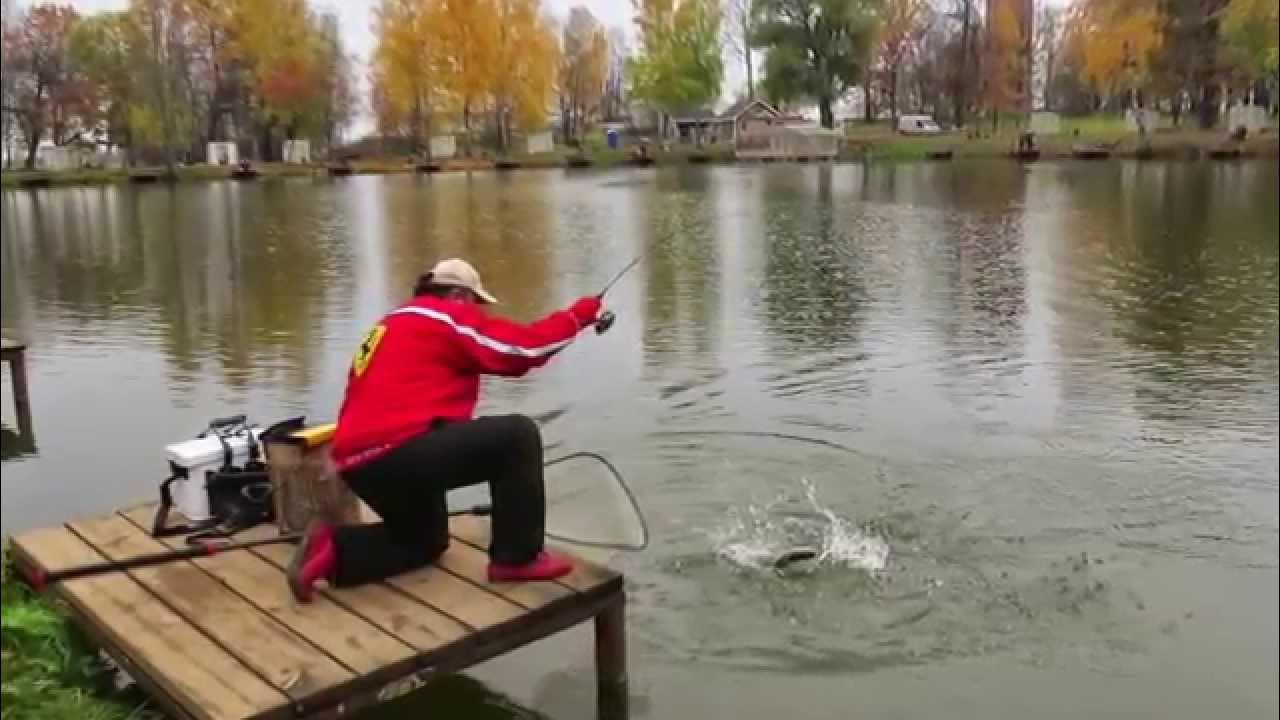 Крх ольгово 3. Савельево 3 ольгово. Крх ольгово 3. Крх ольгово 3. Ольгово платная рыбалка.