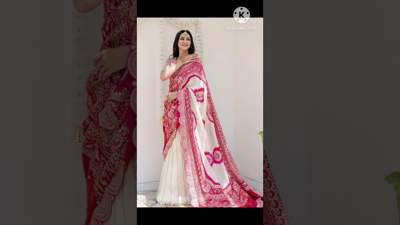 “A beautiful ethnic collection of sarees that blends timeless tradition with graceful elegance.”